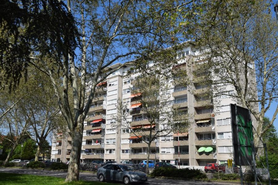 Eigentumswohnung-im-Mehrfamilienhaus-Frankenthal - BILD